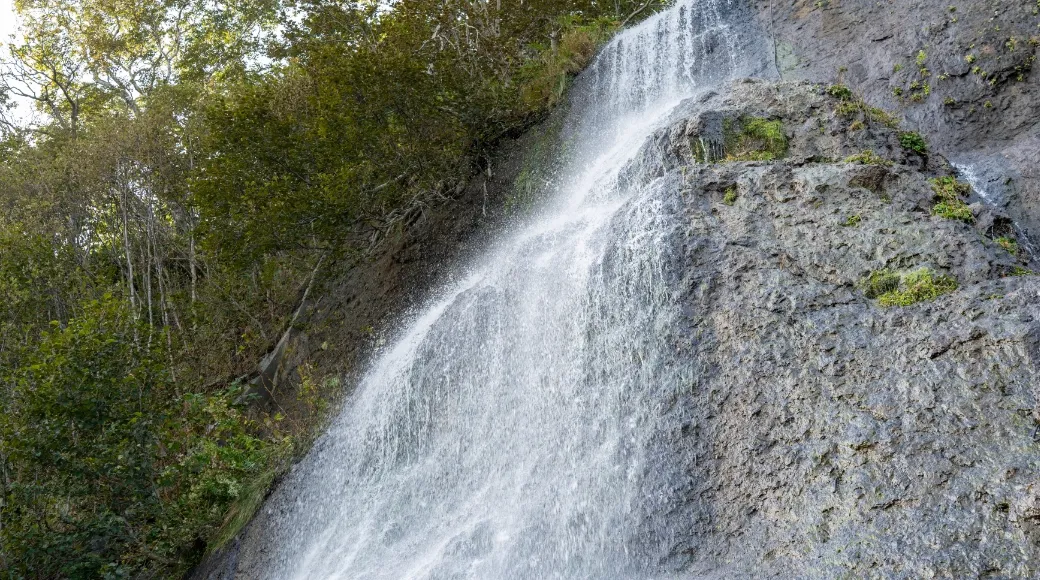 道東の草原と森
