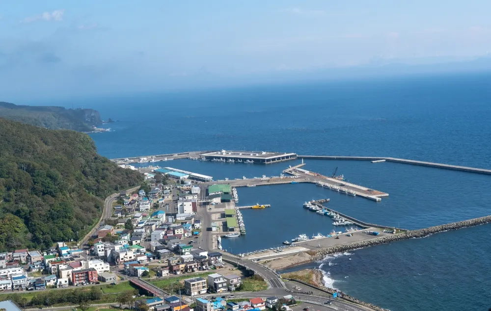 地域ブランディング事業